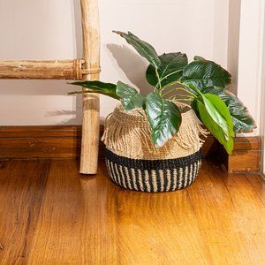Handwoven Seagrass Houseplant Planter, Storage Basket